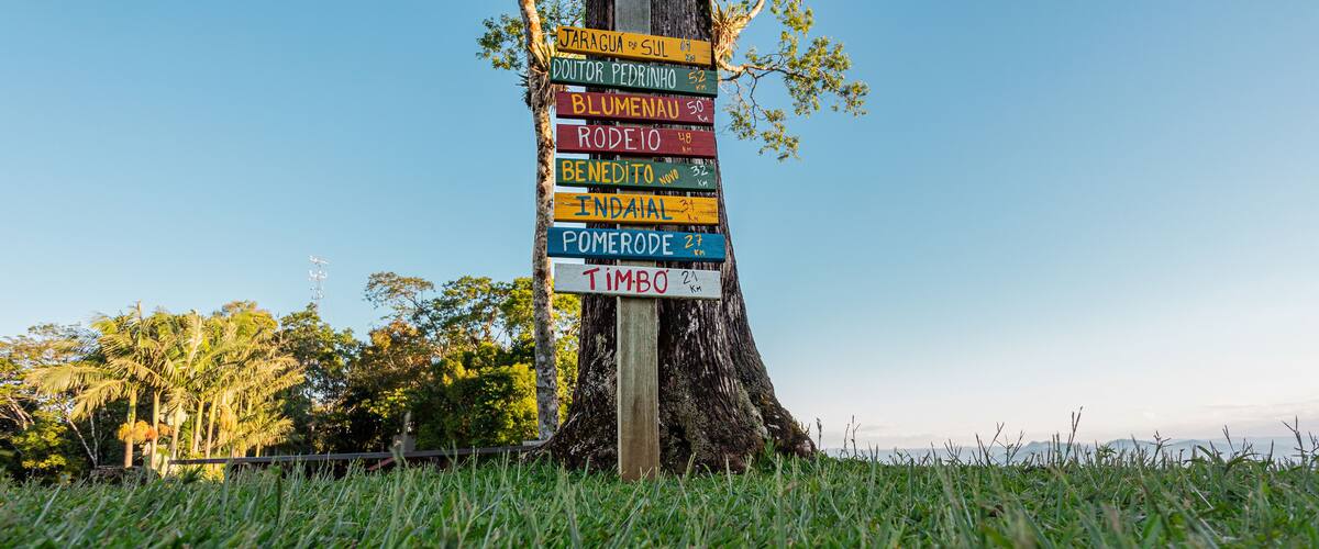 A tree with colorful signs indicating distances to various locations.