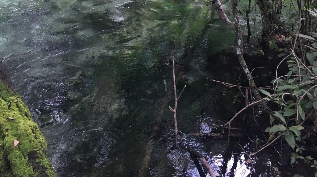 Rio Triste, located in Nobres - Mato Grosso, Brazil