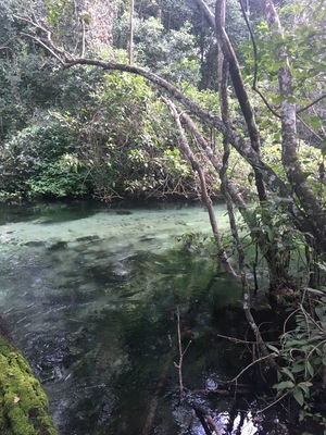 Rio Triste, located in Nobres - Mato Grosso, Brazil