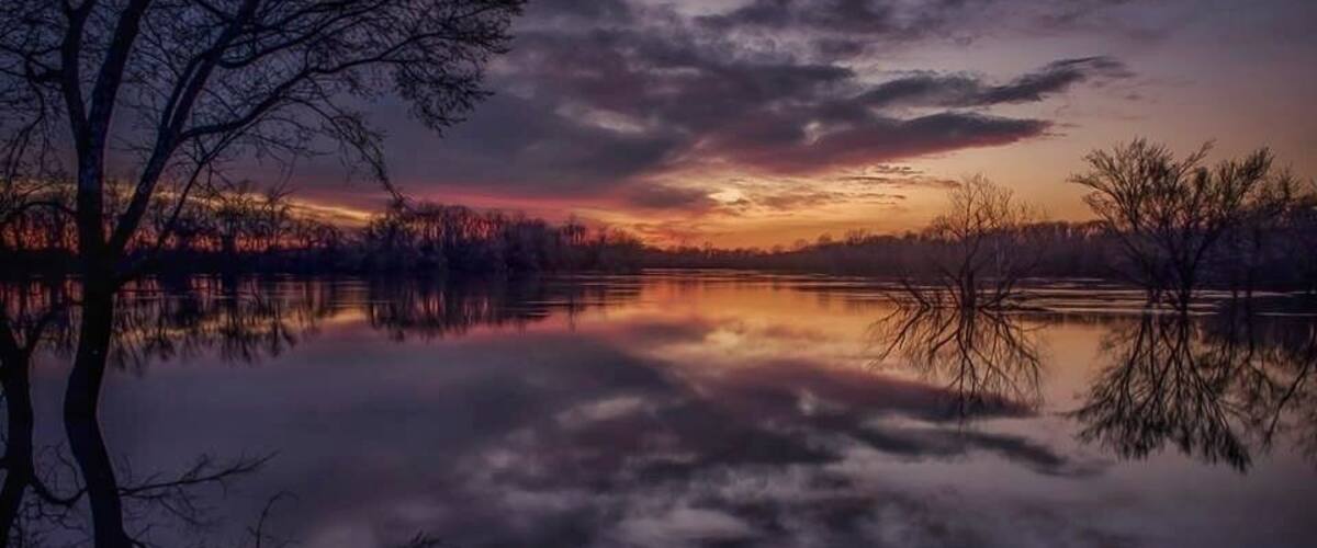 A calm lake at sunset with trees silhouetted against the sky.