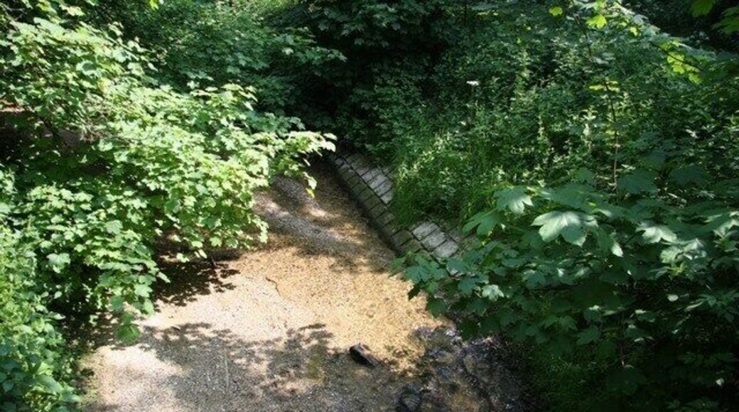 Reinforced river bank The bridge over the River Stour here is on a sharp bend so the bank has to be reinforced to stop the path of the river moving sideways.