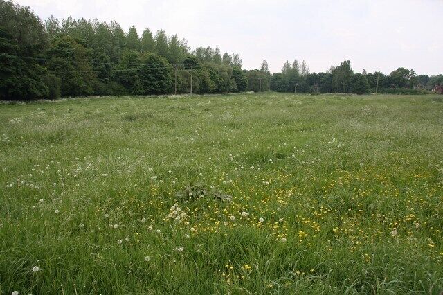 Meadow by the Stour Between Great Thurlow and the River Stour.