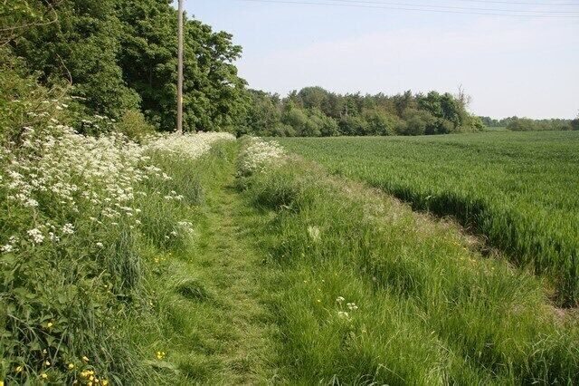 Arable field Just east of the River Stour, line of trees between the field and the river.