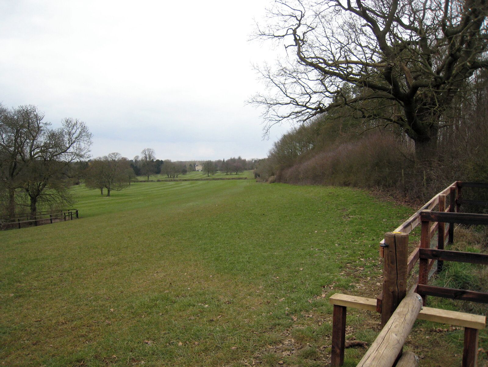 A grassy field with a wooden fence and leafless trees.