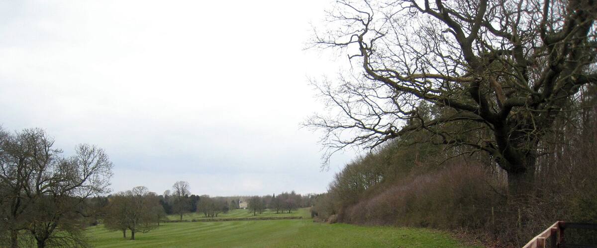A grassy field with a wooden fence and leafless trees.