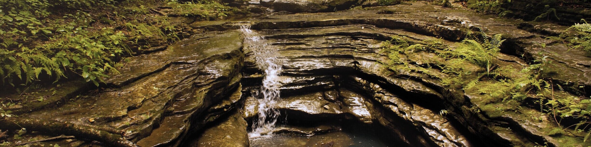 Lined by scalloped rocks, is this natural "bathtub". This deep pool will fill with icy water after a good rain.