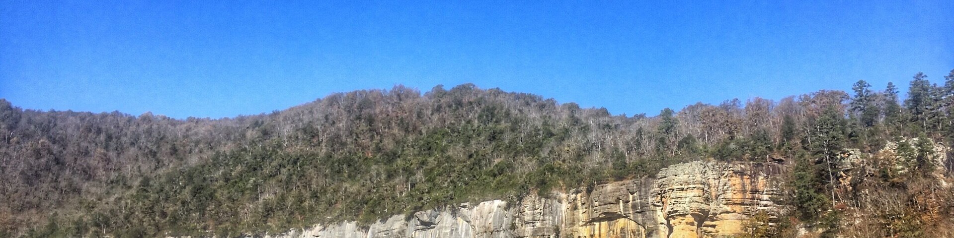 Steel Creek campground. They have spots for horses and tent camping.