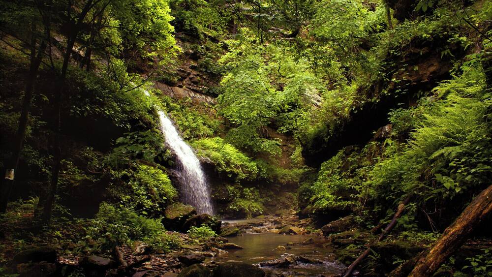 Indian Creek trail is a 4.7 mile in/out hike along bluffs and rocky creeks. Follow the trail to find Copperhead Falls, Tunnel Cave falls and many unnamed waterfalls and caves. The hike requires scrambling along edges of bluffs, and wading through the icy creek. Continue farther along the trail and hike to the Eye of the Needle (a gem in itself). A challenging hike, but worth the reward!