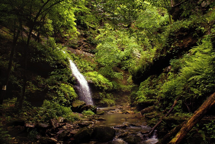 Indian Creek trail is a 4.7 mile in/out hike along bluffs and rocky creeks. Follow the trail to find Copperhead Falls, Tunnel Cave falls and many unnamed waterfalls and caves. The hike requires scrambling along edges of bluffs, and wading through the icy creek. Continue farther along the trail and hike to the Eye of the Needle (a gem in itself). A challenging hike, but worth the reward!