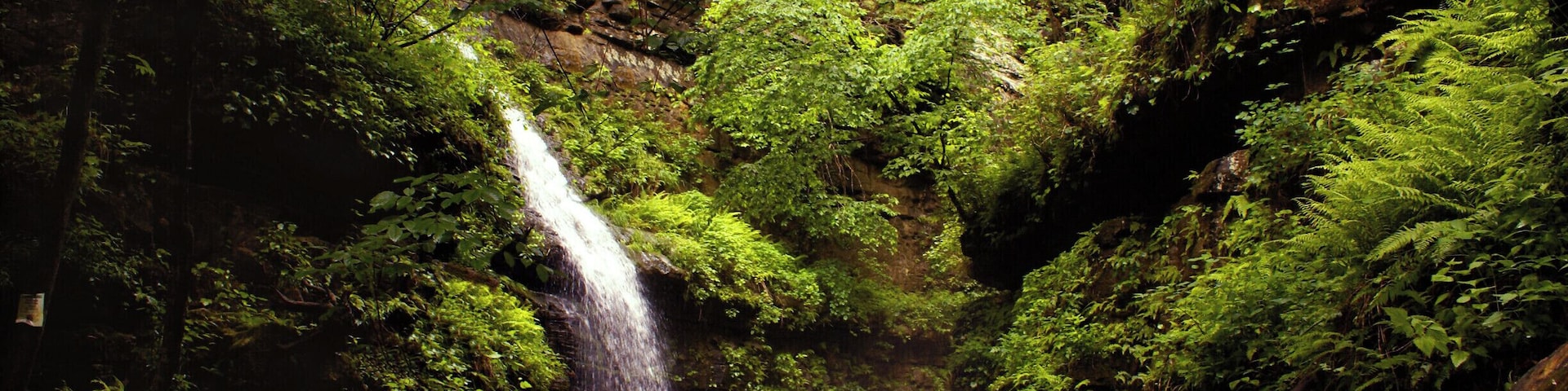 Indian Creek trail is a 4.7 mile in/out hike along bluffs and rocky creeks. Follow the trail to find Copperhead Falls, Tunnel Cave falls and many unnamed waterfalls and caves. The hike requires scrambling along edges of bluffs, and wading through the icy creek. Continue farther along the trail and hike to the Eye of the Needle (a gem in itself). A challenging hike, but worth the reward!