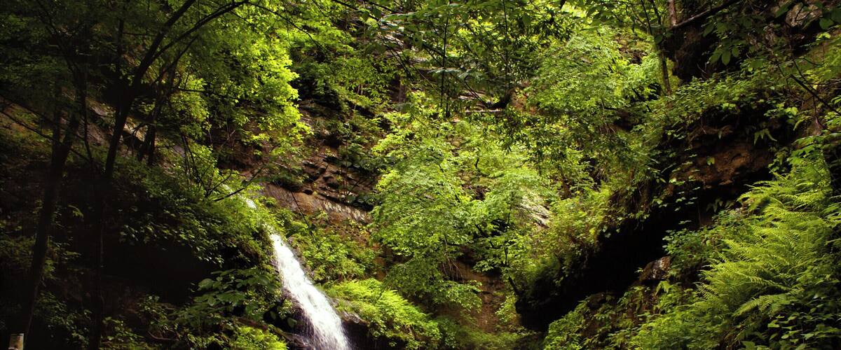 Indian Creek trail is a 4.7 mile in/out hike along bluffs and rocky creeks. Follow the trail to find Copperhead Falls, Tunnel Cave falls and many unnamed waterfalls and caves. The hike requires scrambling along edges of bluffs, and wading through the icy creek. Continue farther along the trail and hike to the Eye of the Needle (a gem in itself). A challenging hike, but worth the reward!