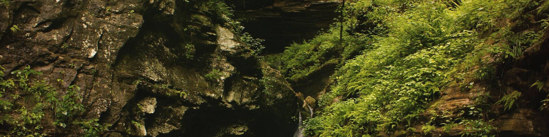 A waterfall cascading down a rocky cliff surrounded by lush green foliage.