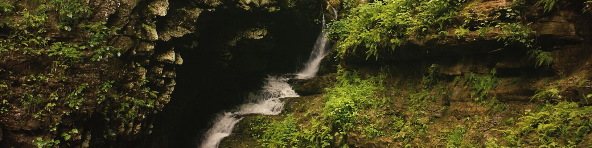 Una cascada se precipita por un acantilado rocoso, rodeada de frondosa vegetación.