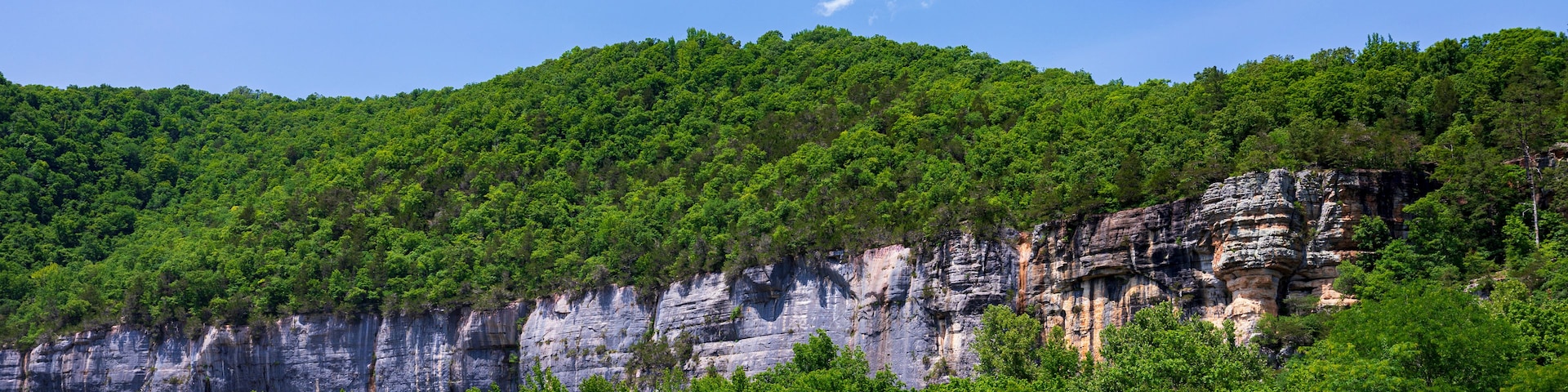 A mountainous landscape with a grassy field in the foreground and a rocky cliff face with dense forest in the background.