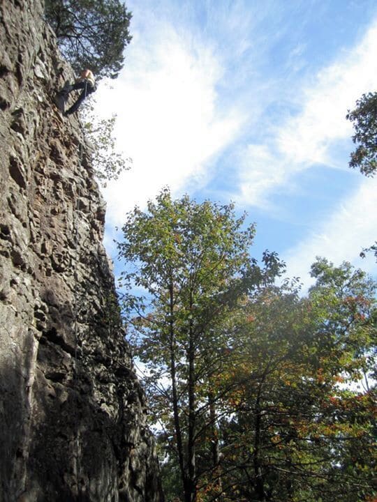 A rocky cliff with trees in the background.