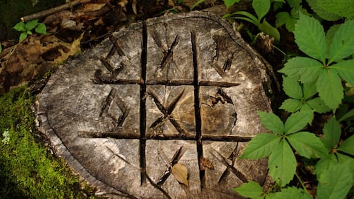 Hiking along the Buffalo River towards Horseshoe Bend, where the famed 250ft Hemmed-in Hollow flows and found this tic-tac-toe stump. Along the trail you will find old homesteads, Native American trail markers, etc.