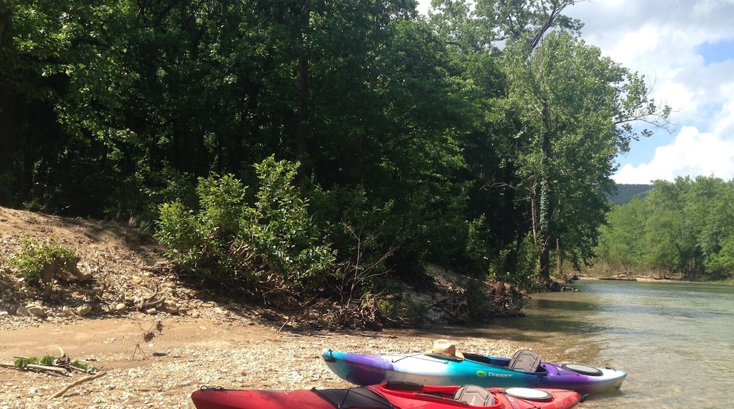 Love kayaking down the buffalo river! If near jasper and haven't tried the low gap café for lunch or dinner...it is a must!