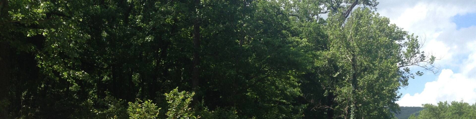 Love kayaking down the buffalo river! If near jasper and haven't tried the low gap café for lunch or dinner...it is a must!