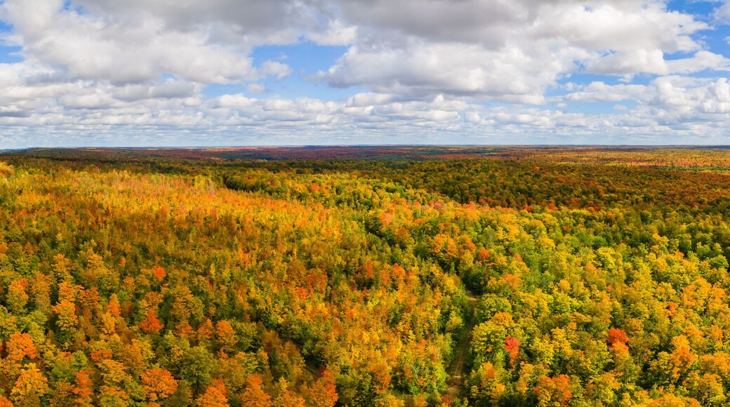 Wonderful Colorful autumn countryside scenic drive in the Upper Peninsula