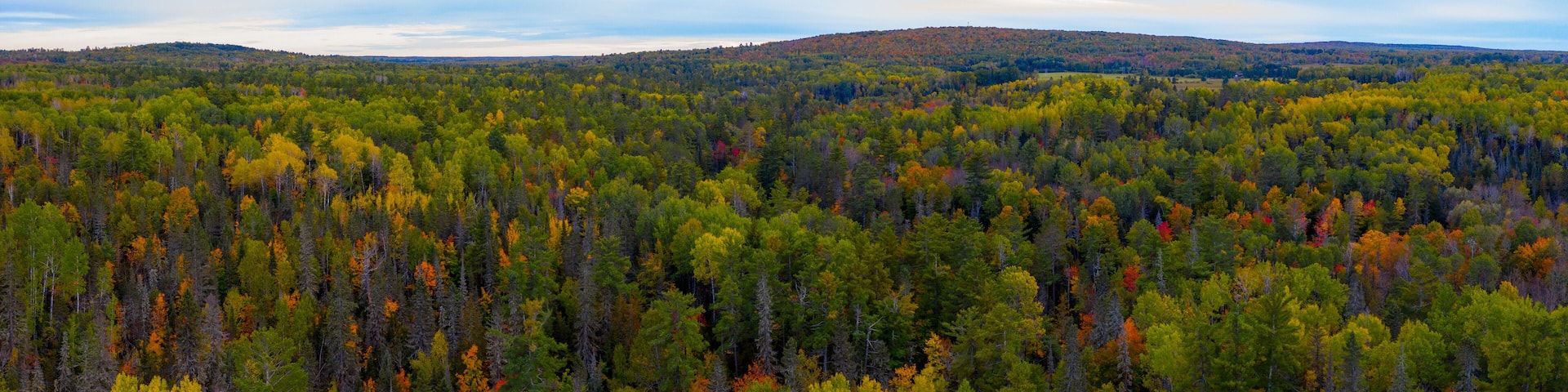 North Woods in the Fall