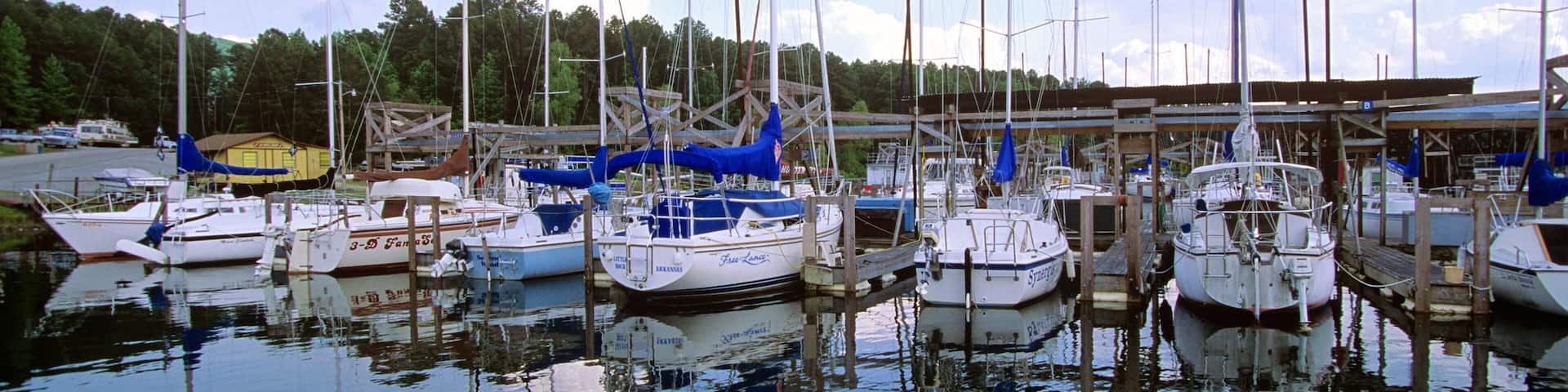 A marina with several sailboats docked, surrounded by trees and a clear sky.