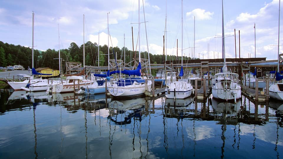 A marina with several sailboats docked, surrounded by trees and a clear sky.