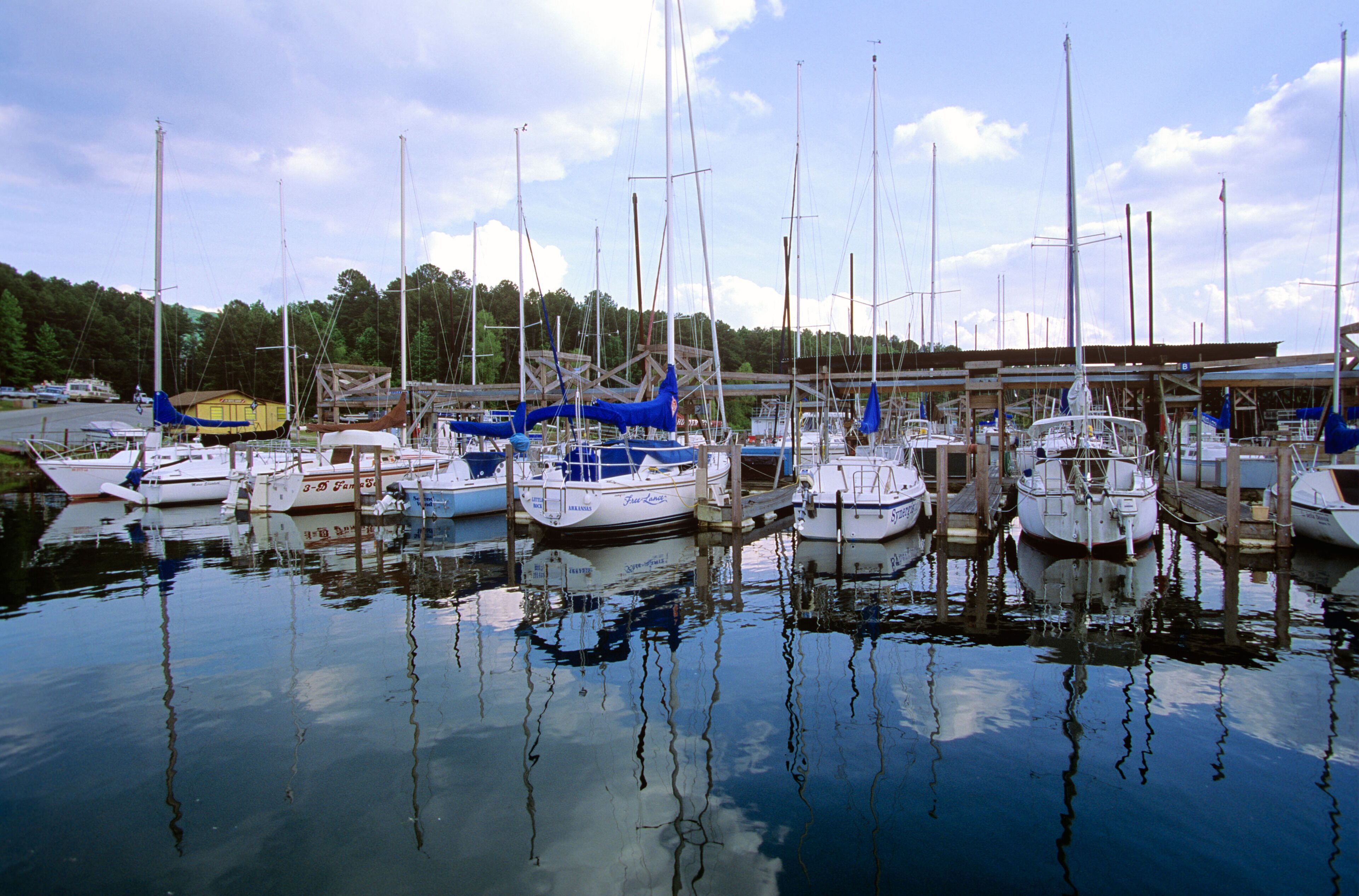 A marina with several sailboats docked, surrounded by trees and a clear sky.
