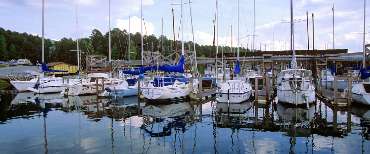 A marina with several sailboats docked, surrounded by trees and a clear sky.