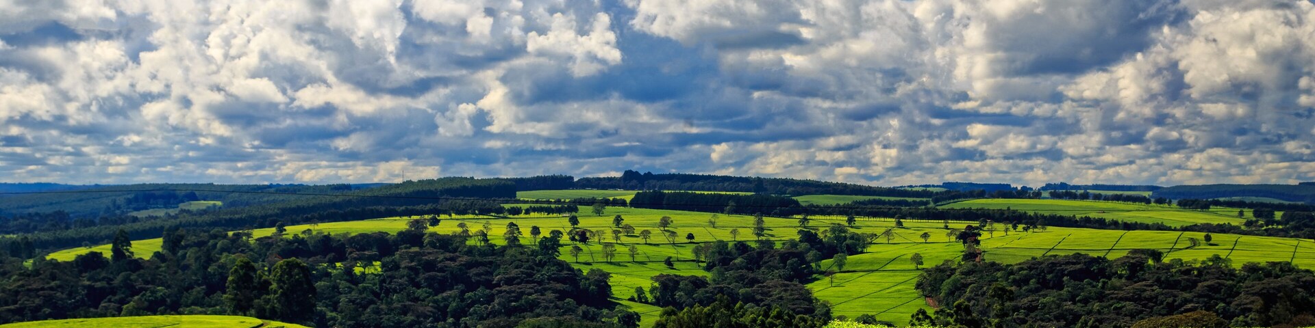 beautiful table formation by tea plantations in Kericho County, Kenya