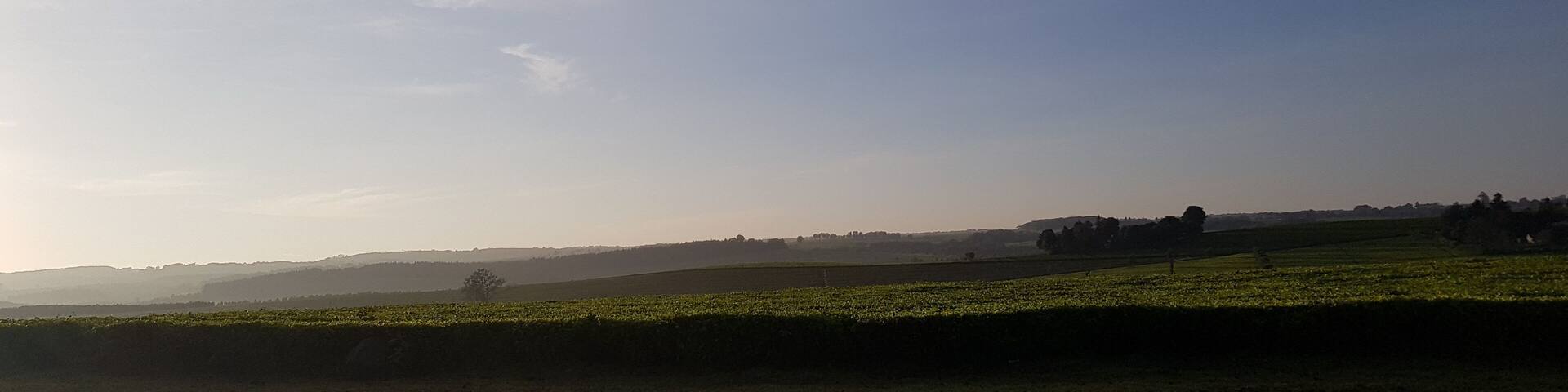 Beautiful evening landscape view in kericho County Kenya, Africa.
