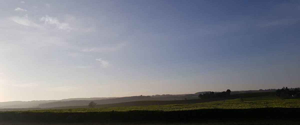 A rural landscape with rolling hills, a clear sky, and a distant tree line.