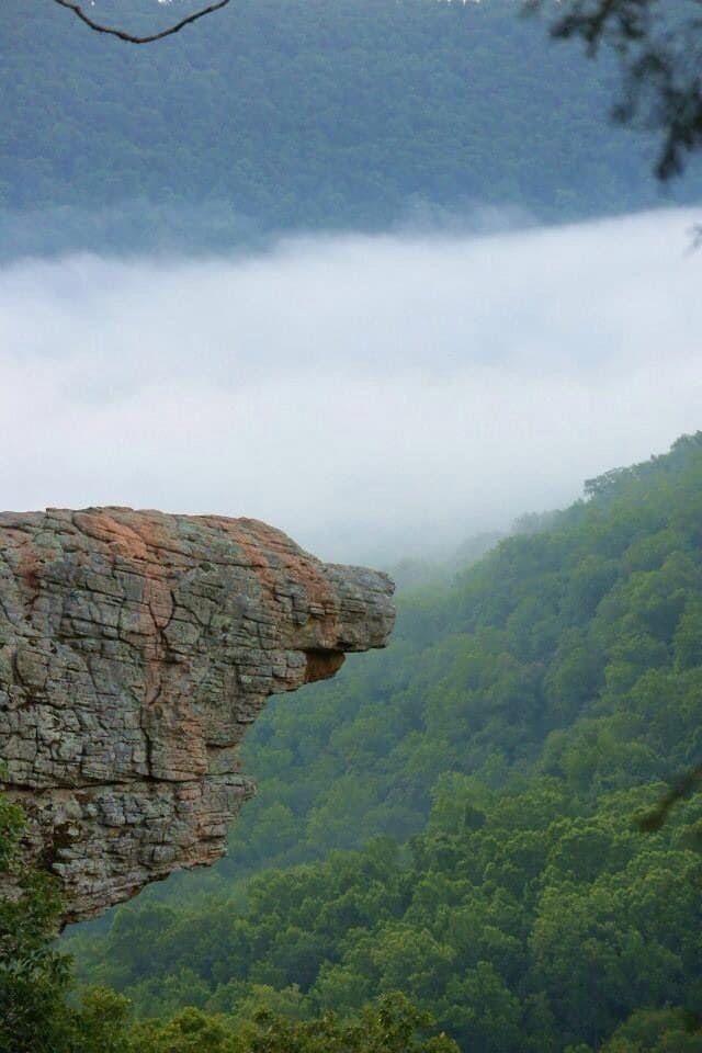 Every bit worth making it an early morning and hiking to this point for a sunrise view from Hawksbill Crag/Whitaker Point!! It's a fairly easy 3mi round trip hike...took us about 2hrs! 