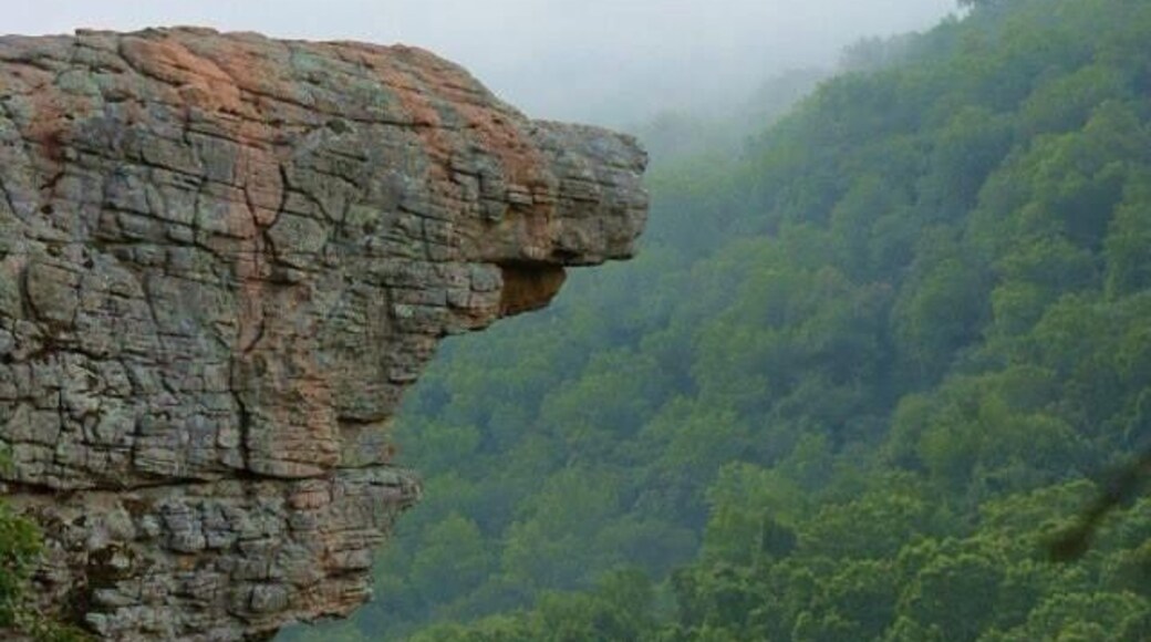 Every bit worth making it an early morning and hiking to this point for a sunrise view from Hawksbill Crag/Whitaker Point!! It's a fairly easy 3mi round trip hike...took us about 2hrs!