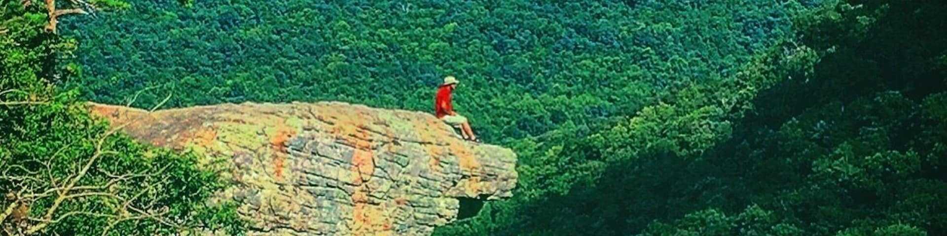 A picture is worth a thousands words, but in this case no words can describe the beauty here. A must see to anyone wanting a fun and easy hike. #hawksbillcrag #buffalorivervalley