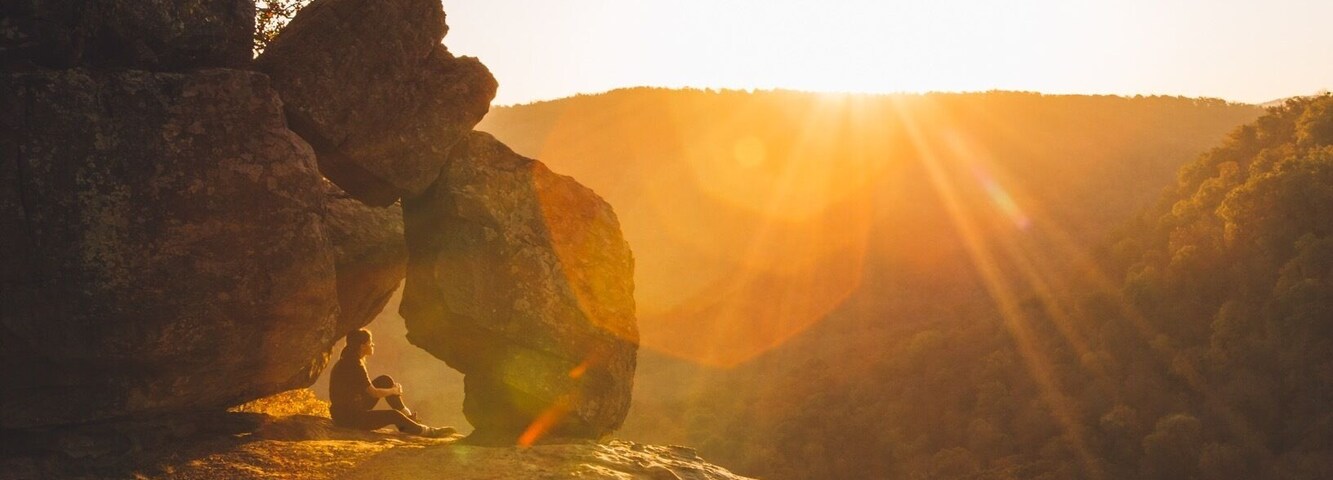 Basking in the light of the rising sun