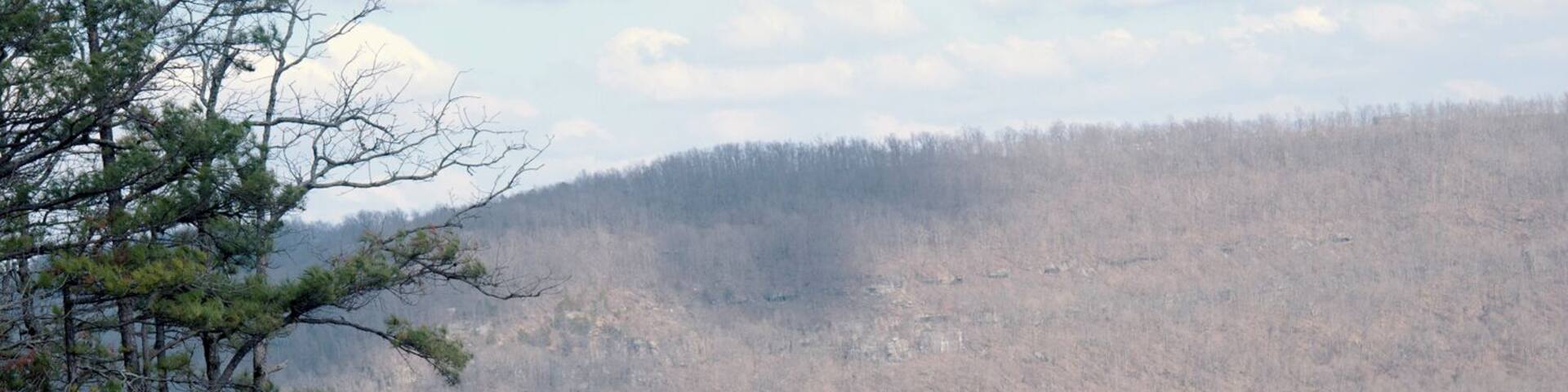 Hawk's Bill Crag/Whitaker Point. One of the most photographed points in Arkansas. It has a beautiful site to be hold. The trail leading to the crag also has many waterfalls.