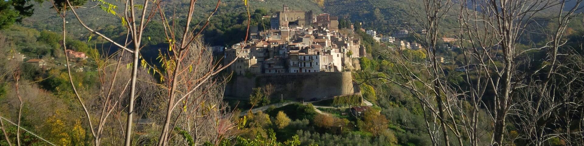 ritratto di s. gregorio da sassola