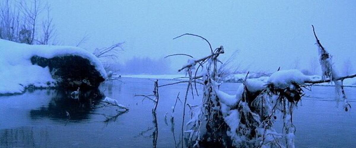 A frozen river with snow-covered branches and rocks.