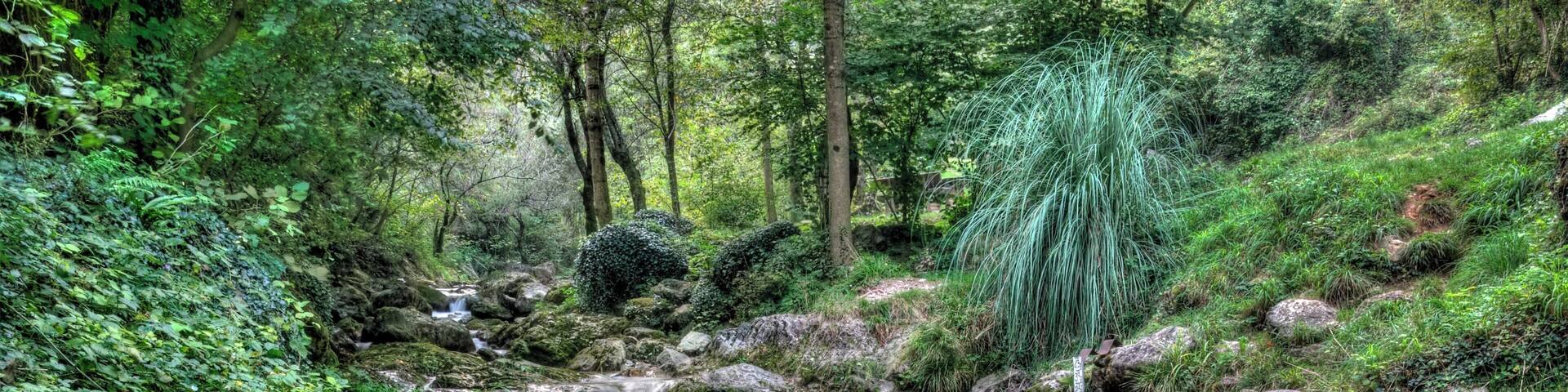 Inzino : il torrente