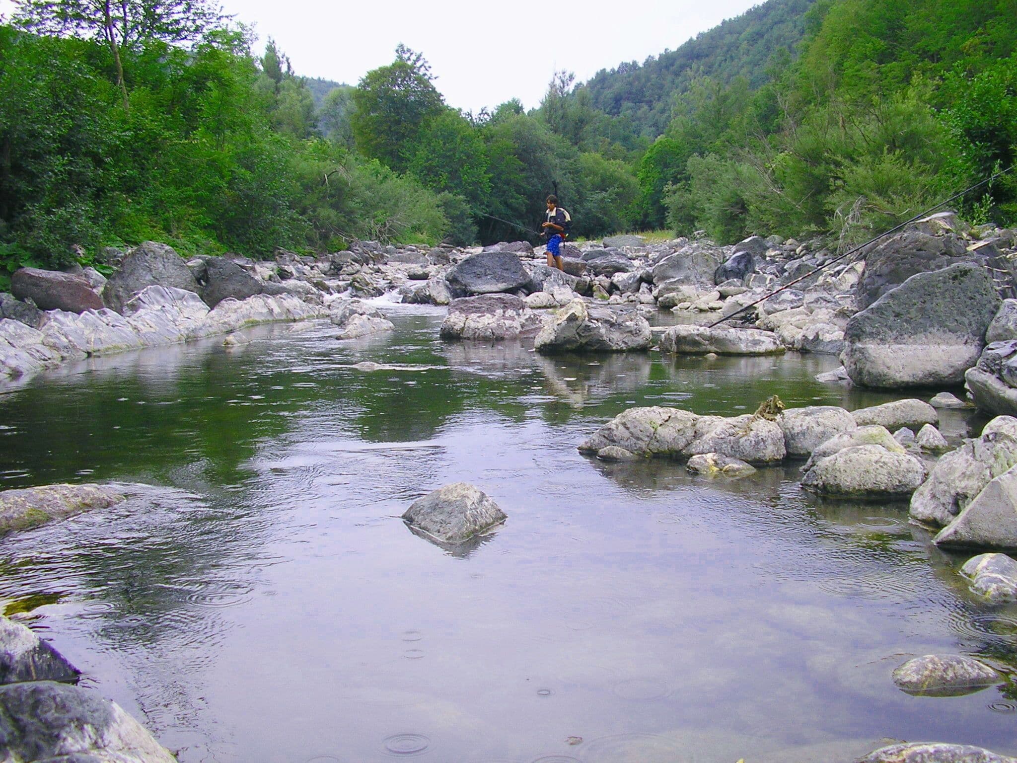 A river with rocks and trees in the background.