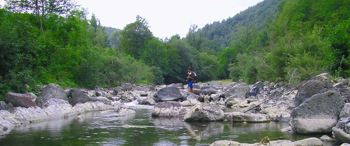 A river with rocks and trees in the background.