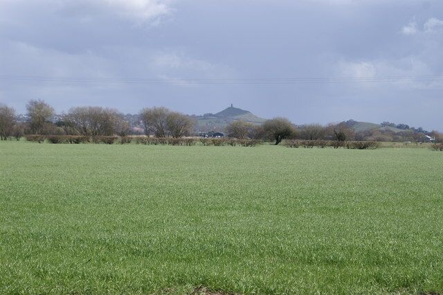 Field, with Glastonbury Tor in the background