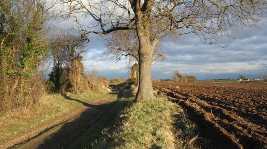 Greenfields Lane This track runs across the farmland between Folkingham and the old medieval village of West Laughton. Apart from short distances along the route that coincide with the network of footpaths in this area the track is classed as a "route with other public access".