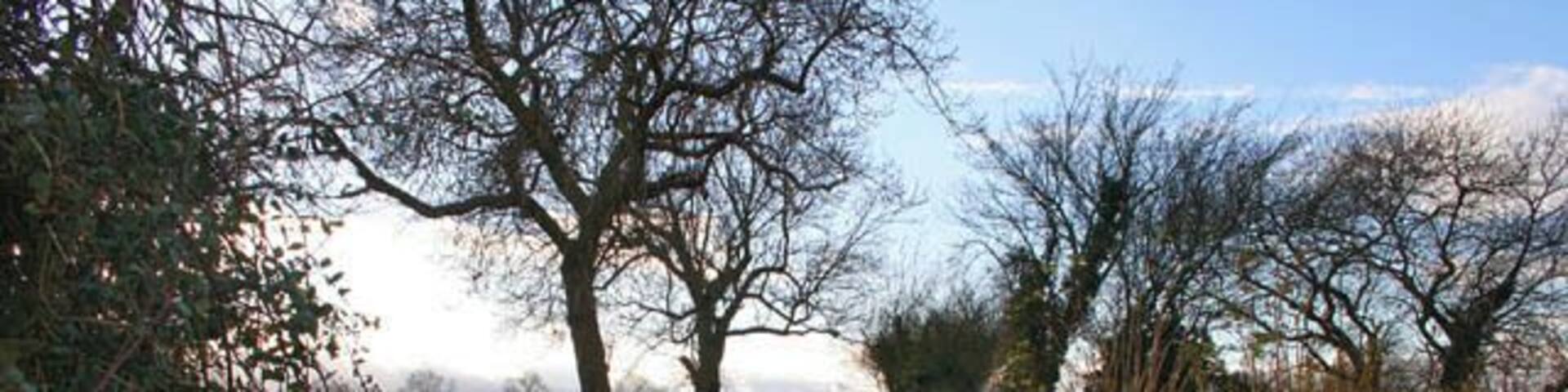 Greenfields Lane near Folkingham A pleasant walk from Folkingham to the Laughton road.