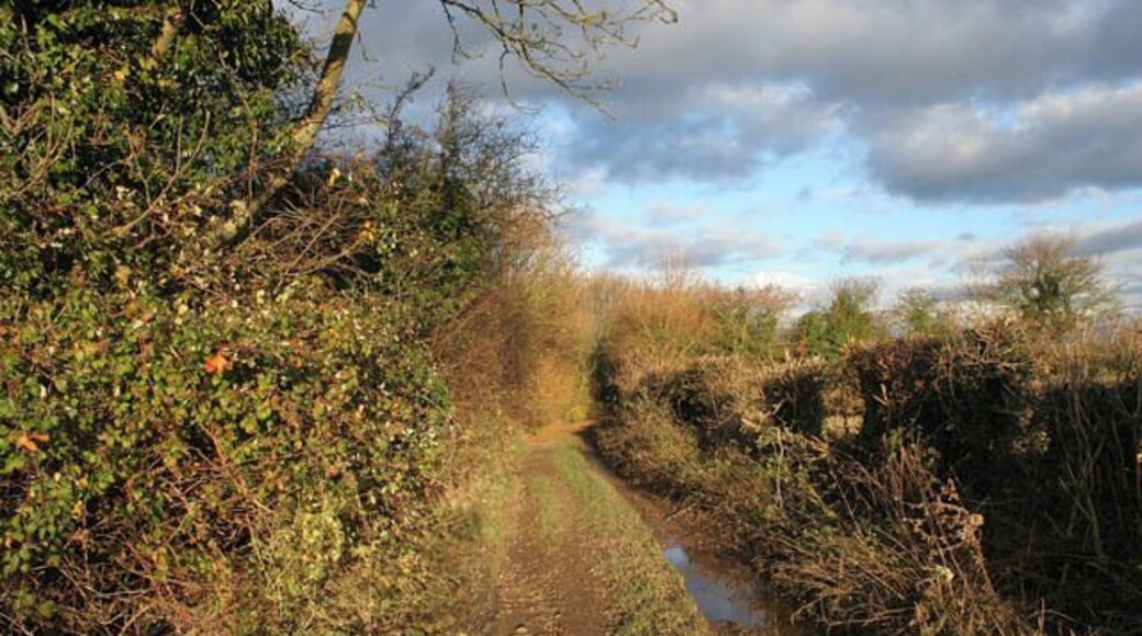 Greenfields Lane, Folkingham This lane is a public right of way from Folkingham to the site of the old Medieval village of West Laughton. It is reasonably well surfaced with stone rubble with a thin overlying covering of earth. Not too many muddy areas so an easy walk or cycle ride.