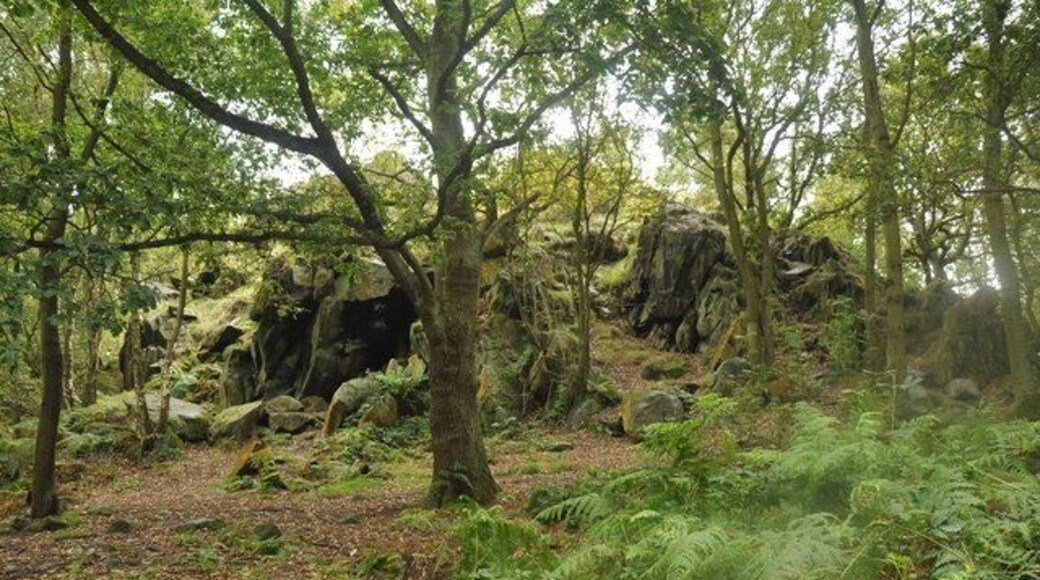 High Cademan, Cademan Wood, Charnwood Forest Ivanhoe Way footpath passes close by.