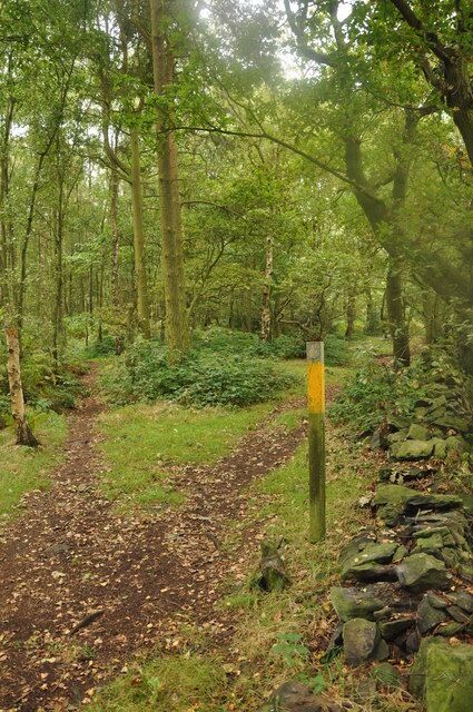 Ivanhoe Way This footpath passes through Cademan Wood, Charnwood Forest