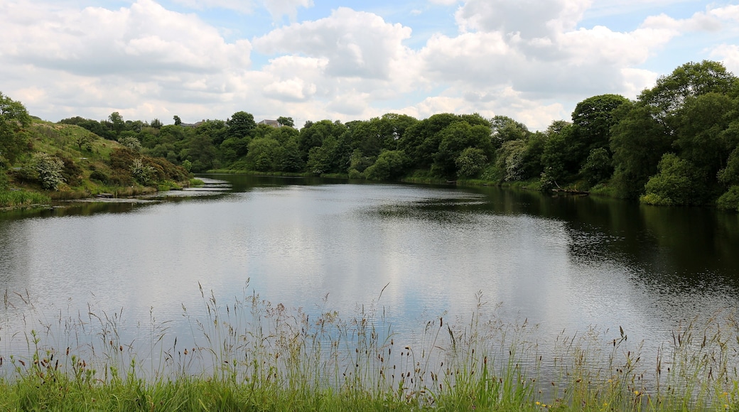 Walves Reservoir, South Turton, Bolton, Lancashire, England