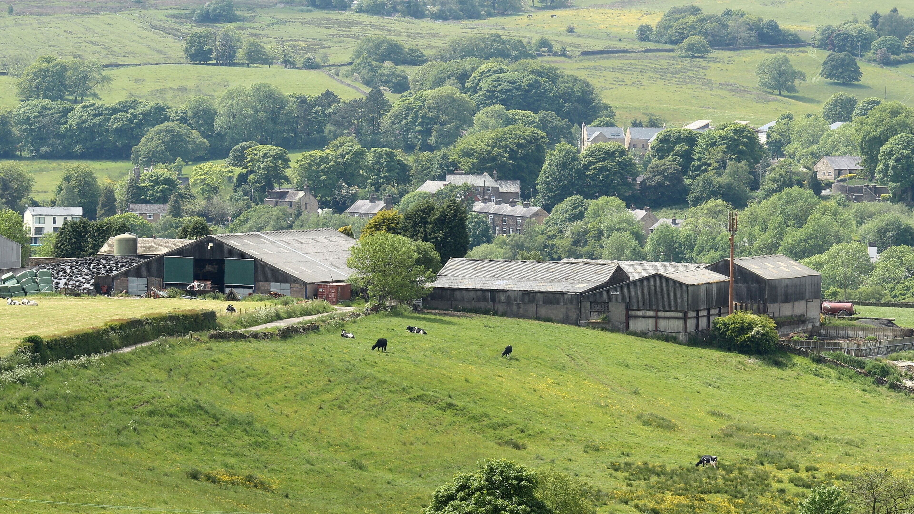 Farm on Birches Rd, North Turton, Bolton, Lancashire, England