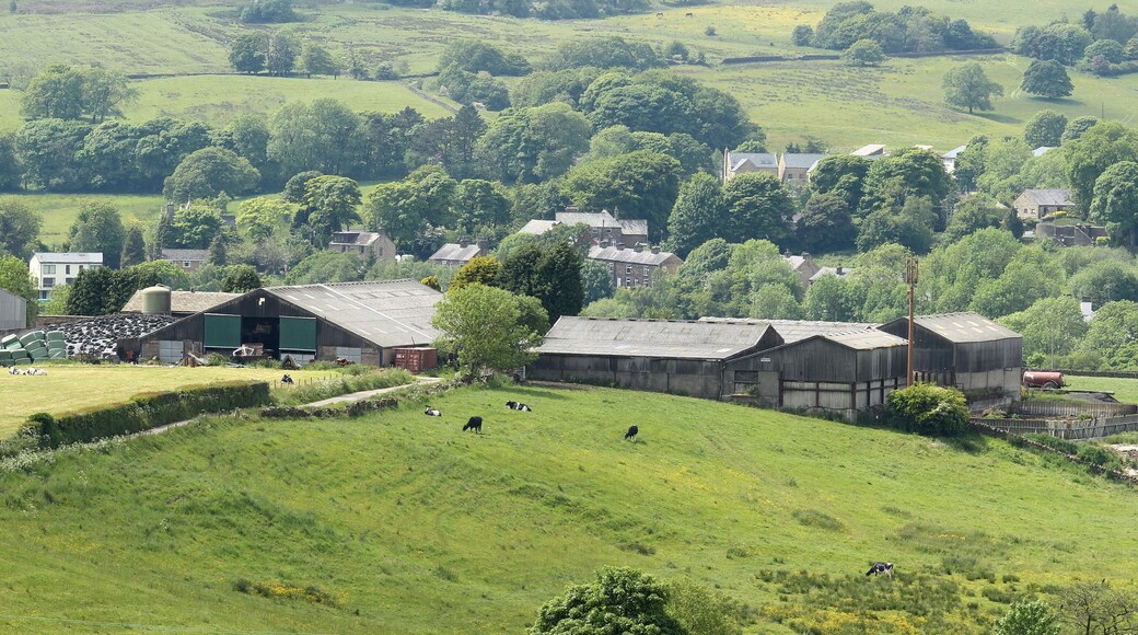 Farm on Birches Rd, North Turton, Bolton, Lancashire, England